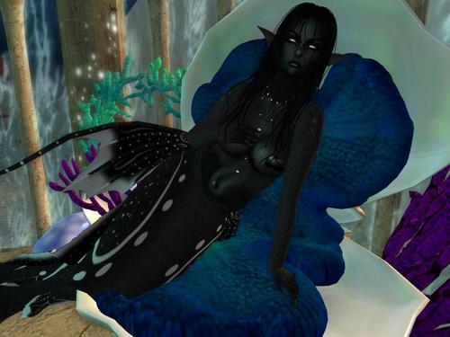 Web 5b72e3bd73ed177c0d000001