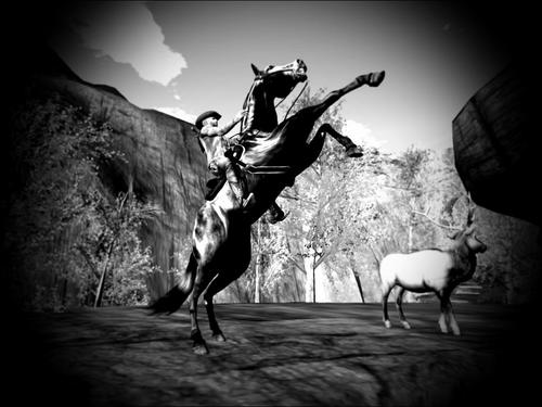 Web 5ba28c1cd9859c25bc000001