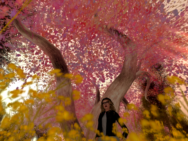 Original 5a4f8ef1289dd210e3000001