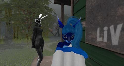 Web 61268e0e96f982734fd98bd7