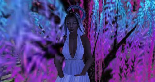 Web 619eadd5c1de781fd044ac29