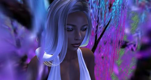 Web 619eae343509d74efdce5b1f