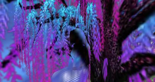 Web 619eb067a4e6d356441c6fcf