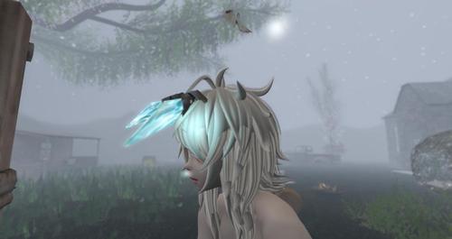 Web 61fd45633d02e71243c9a184