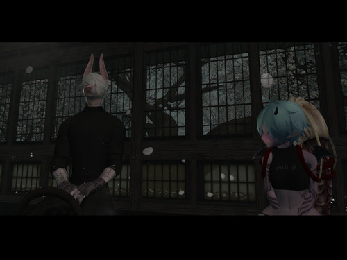 Web 65f366d2551c0e15a189c2ee