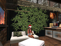 Small 676b6dceacbb5518c27c381a