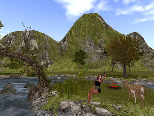 Web 6735debd59dad4373ca1457b