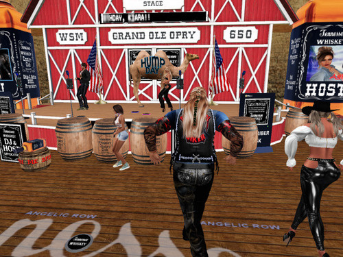 Web 67362eb963ba0e580820c66f