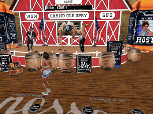 Web 6736305bbcb2ef3e3c59376c