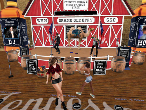 Web 673630d9a35fe733125040e5