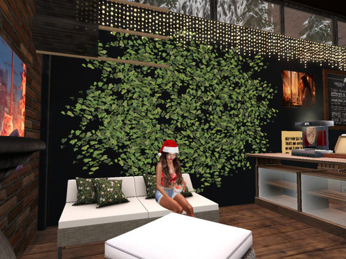 Web 676b6dceacbb5518c27c381a