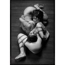 Thumb 611340bdf6e0c36d9930c715