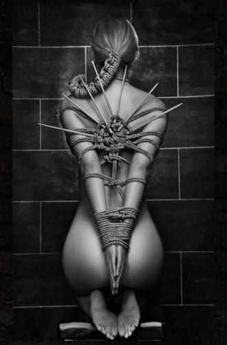 Web 611345b3969a6650aa2d3d39