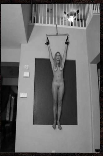 Web 611378e9969a661daf2d3d39