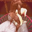 Thumb 5ab8afff289dd27265000001