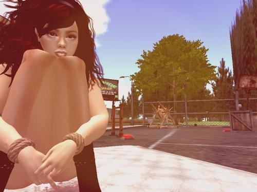 Web 5abab494289dd20796000001