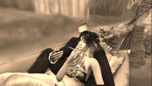 Web 65eb1eedf245c1502c157382