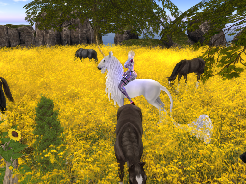 Original 5d18cd65d9859c5498000001