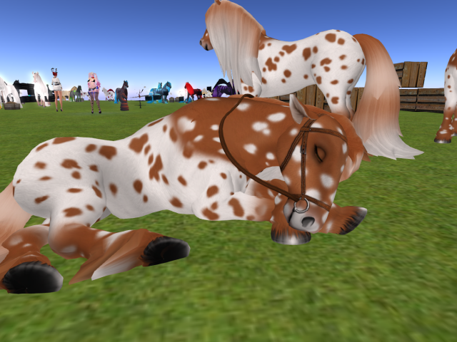 Original 5e03b74b289dd21ee89c7b1c