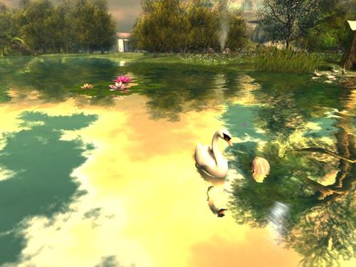 Web 5bf73580d774f85021000001