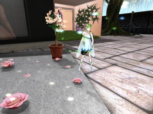 Web 5bf8e1f1d774f83c56000001