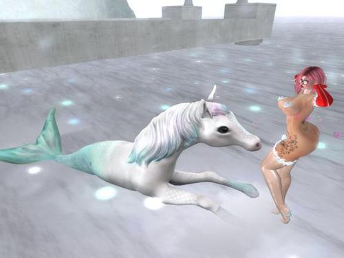 Web 5c0ef23bd774f86328000001