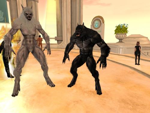 Web 5d0ba6b673ed171bc0000001