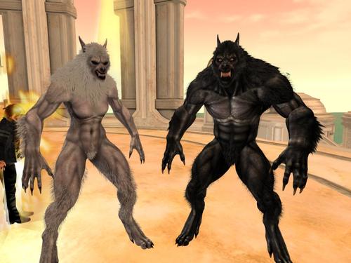 Web 5d0ba6fcd9859c1aa4000001