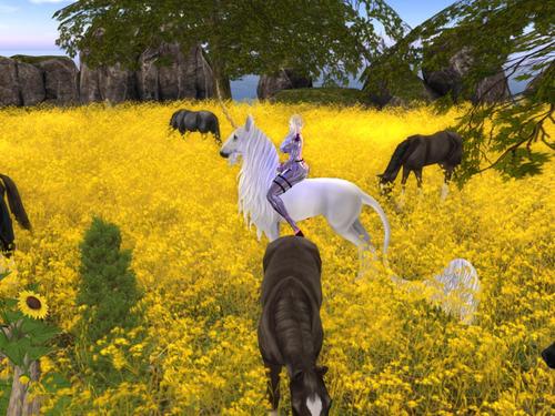 Web 5d18cd65d9859c5498000001