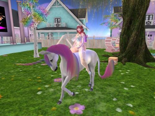 Web 5e0adf1cd9859c5cdb313ad1