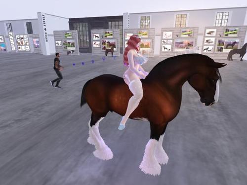 Web 5e0ae31bd9859c7489ecc72e