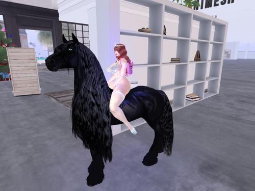 Web 5e0ae41fd774f823e565e464