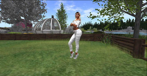 Web 64d7cfb97b04053468fe8020