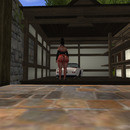 Thumb 64153ece64d6276c5bd36b65