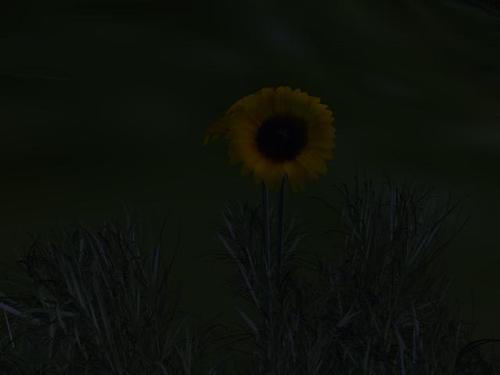 Web 5b8df247289dd2270b000001