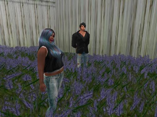 Web 5c318d2bd9859c1ff2000001