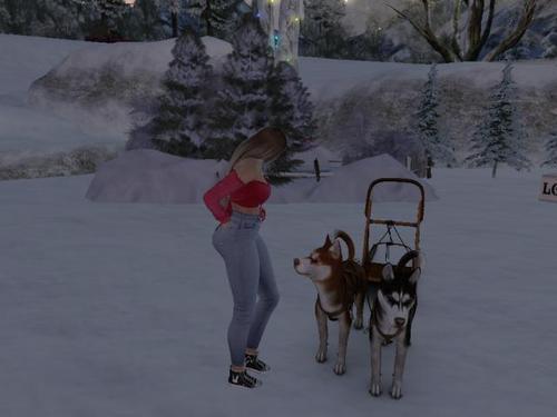 Web 5fc30406840d105f8dd7f9ed