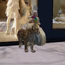 Thumb 6339d27e65b5430b33746262