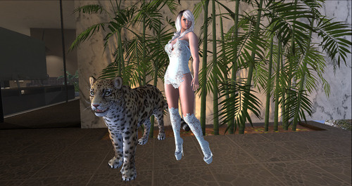 Web 63eb6502decd2050a9295f0c