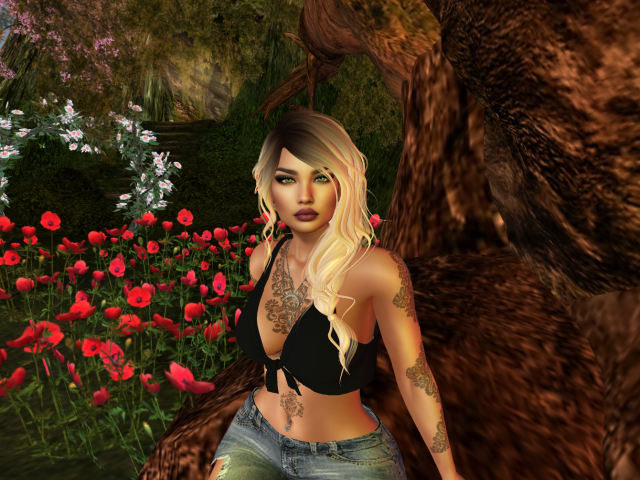 Original 5c52180dd774f805e1000001