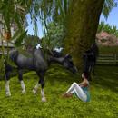 Thumb 5bd57d3fd774f825a4000001