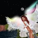 Thumb 5c9a9fa3289dd2161c000001