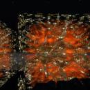 Thumb 5e9cb7f0d774f8254d89ec7c