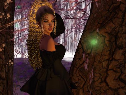 Web 5c4f6078d774f81d40000001