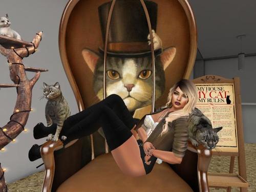 Web 5c54b995d774f879bc000001