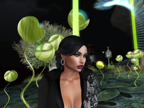 Web 5c5f62c273ed1758b8000001