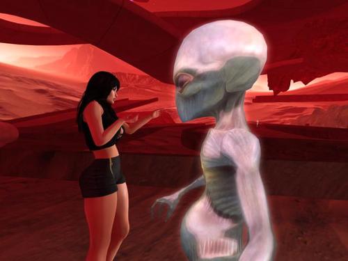 Web 5c687723d9859c594b000001