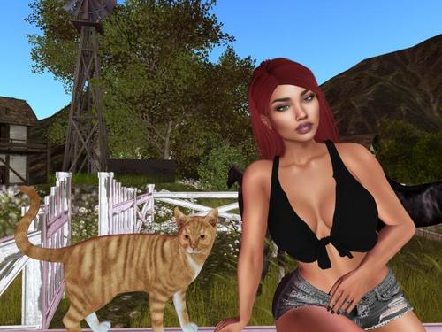 Web 5c723acd289dd2682c000001