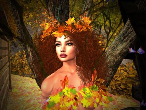 Web 5d7ced80d774f871ae000001