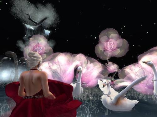 Web 5e48480973ed174ec2ed05d3